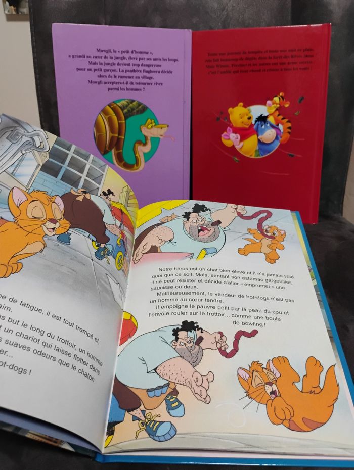 📚  Lot de livres Disney – Très bon état - photo numéro 3