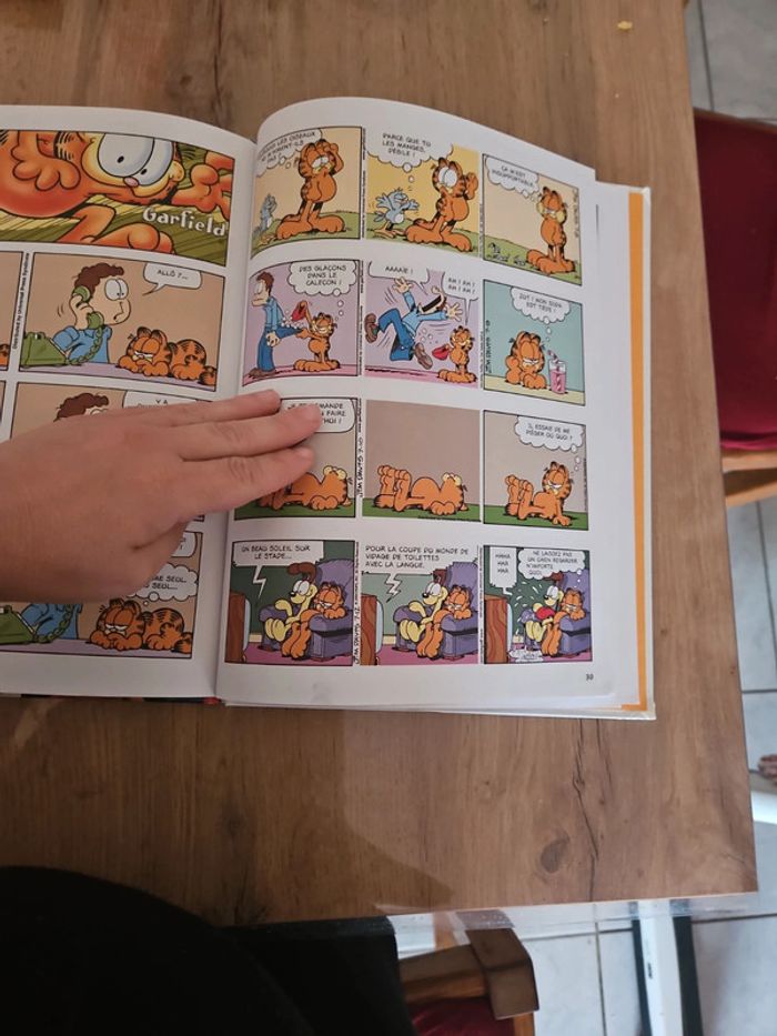 Bande dessinée Garfield - photo numéro 4