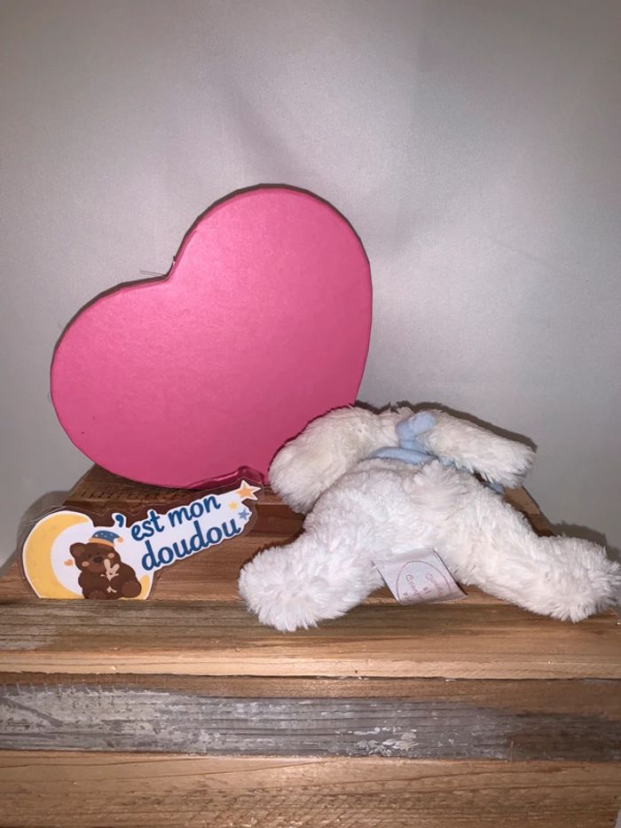 DDC101 doudou et compagnie lapin - photo numéro 2