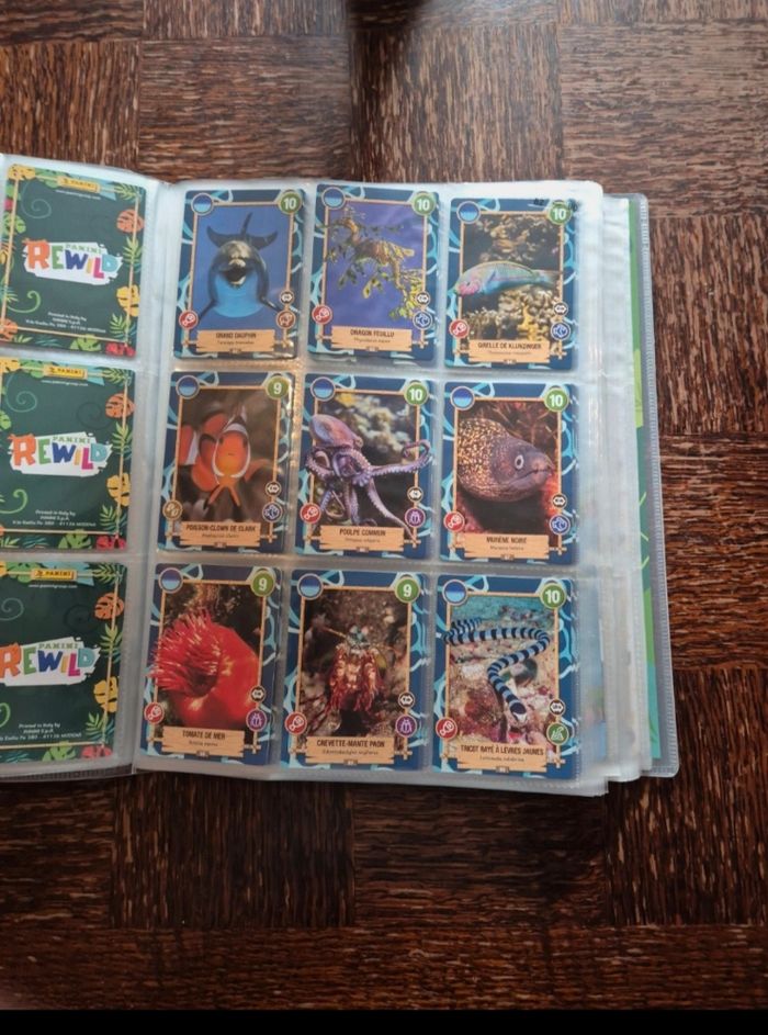 Rewild panini - photo numéro 8