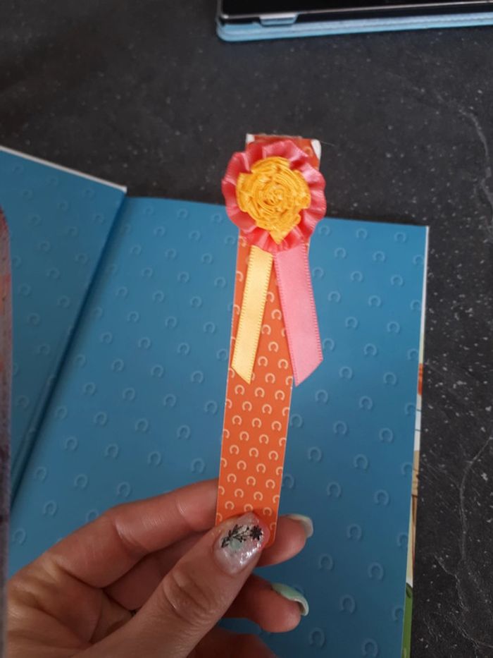 Livre état neuf aventures au poney-club, un tournage mouvementé - photo numéro 2