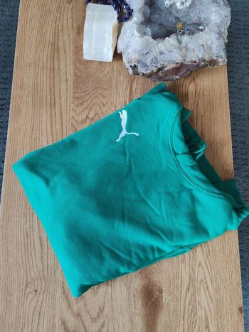 Sweat a capuche Puma vert taille L Casual