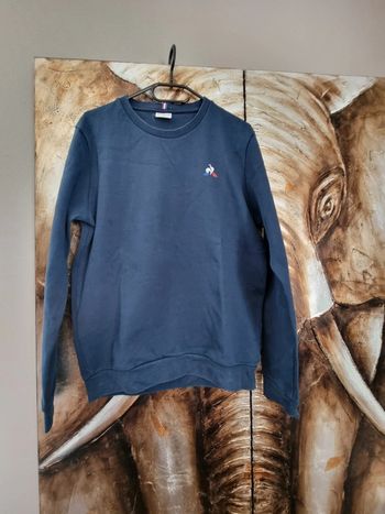 Pull coq sportif