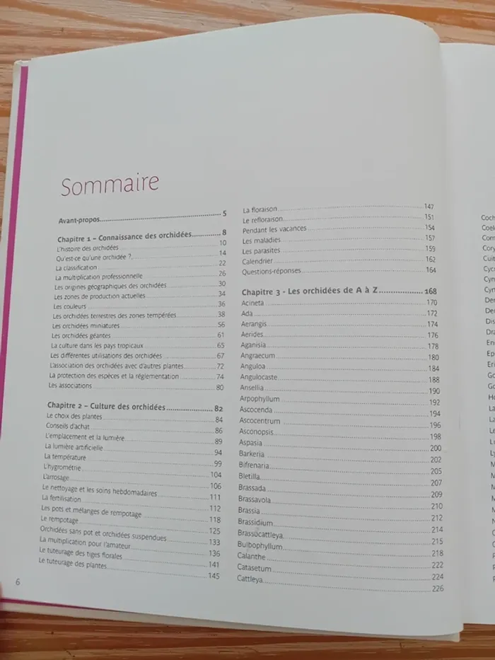 Le traité Rustica des orchidées - photo numéro 3