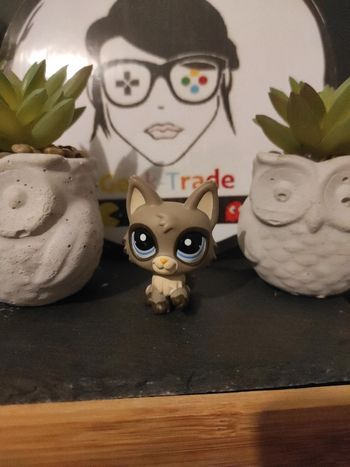 My Littlest Petshop LPS Pet Shop chat persan 1953 cat  #geektradelpschat