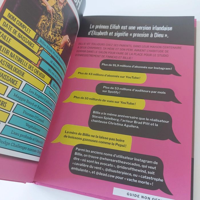 Livre - Billie Eilish - Le Guide ultime de la pop star - photo numéro 4