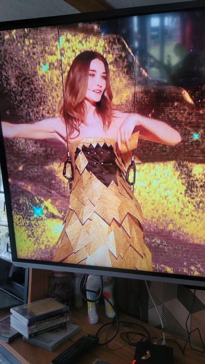 Robe les enfoirés carla bruni - photo numéro 2