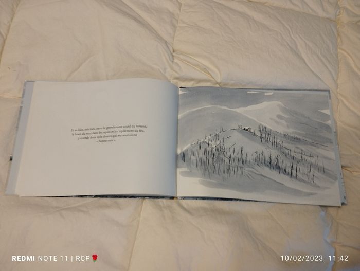 Livre enfant illustrer - photo numéro 5