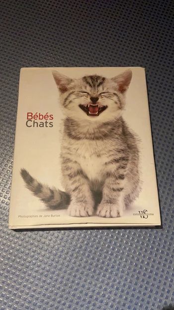 Grand livre bébé chat