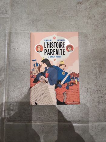 Livre : L'histoire parfaite
