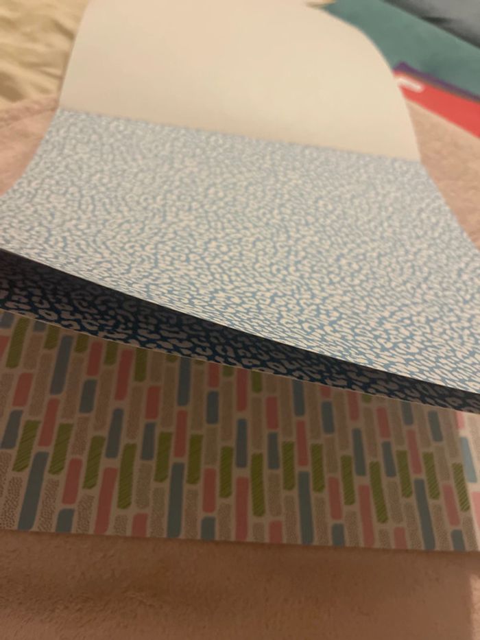 Carnet de paiers - photo numéro 9