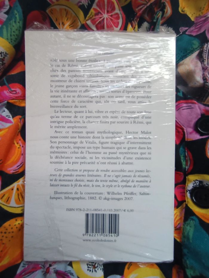 Livre sans famille Hector Malot classiques abrégés - photo numéro 2