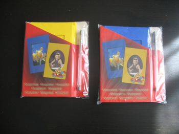 LOT DE 2 PAQUETS DE CARTES DOUBLES "MAX BRINGMANN" - NEUF - n°39