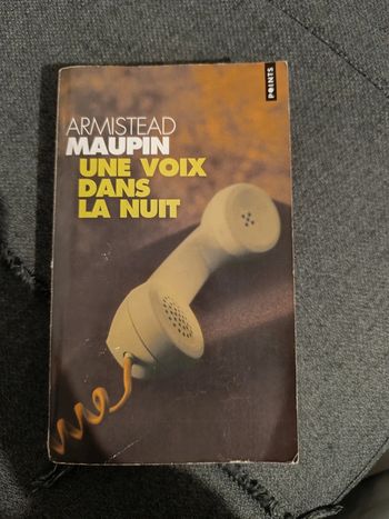 Une voix dans la nuit - Armistead Maupin