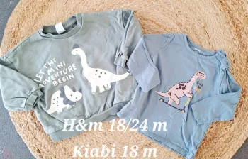 Lot de 2 pulls sous pull 18 mois