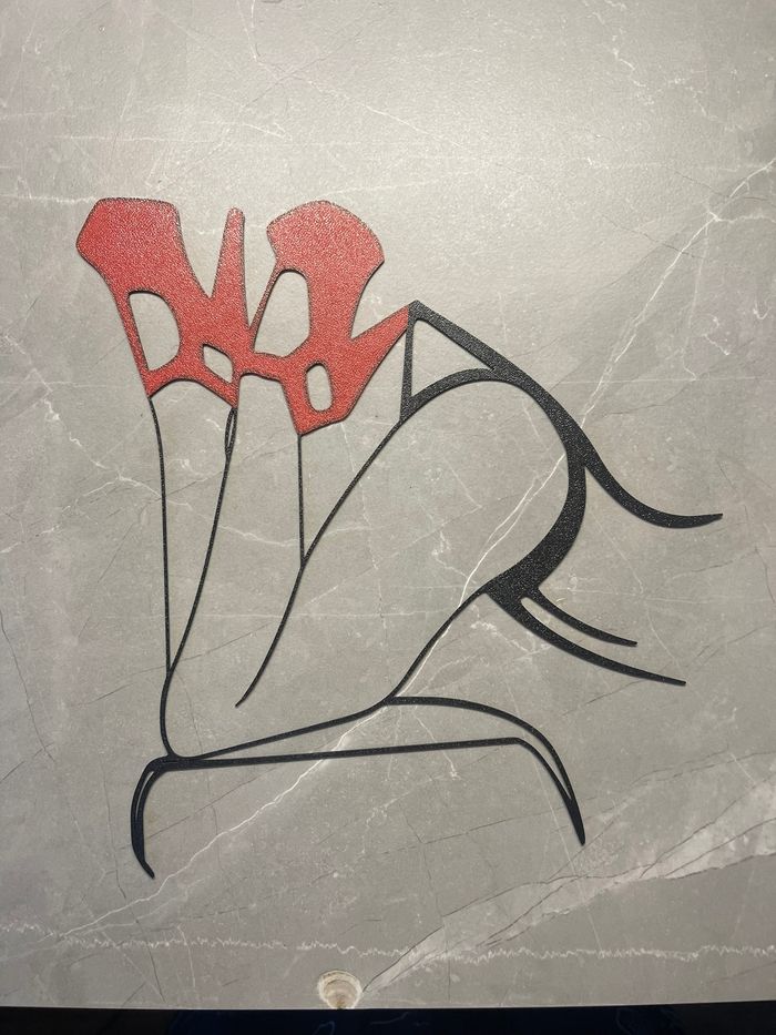 Art Mural Talons Rouge - photo numéro 2