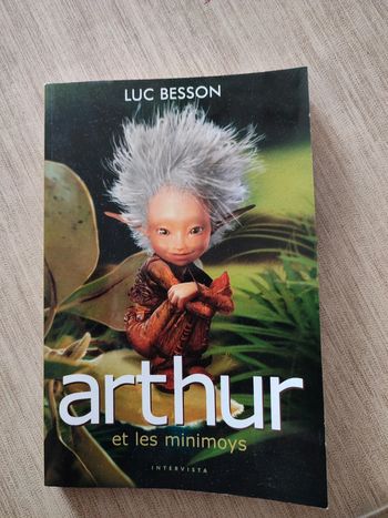Livre Arthur et les Minimoys