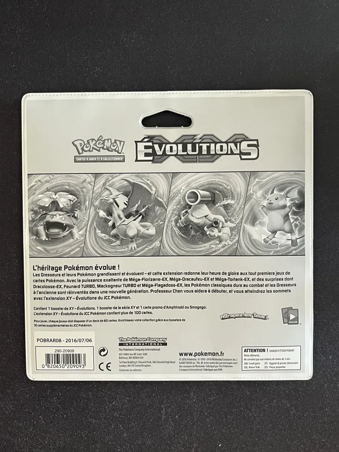 DuoPack Évolution / Rupture Turbo (bug) – ID747 - photo numéro 2