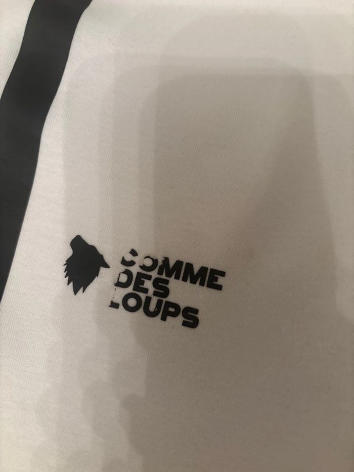 Ensemble comme des loups - photo numéro 4