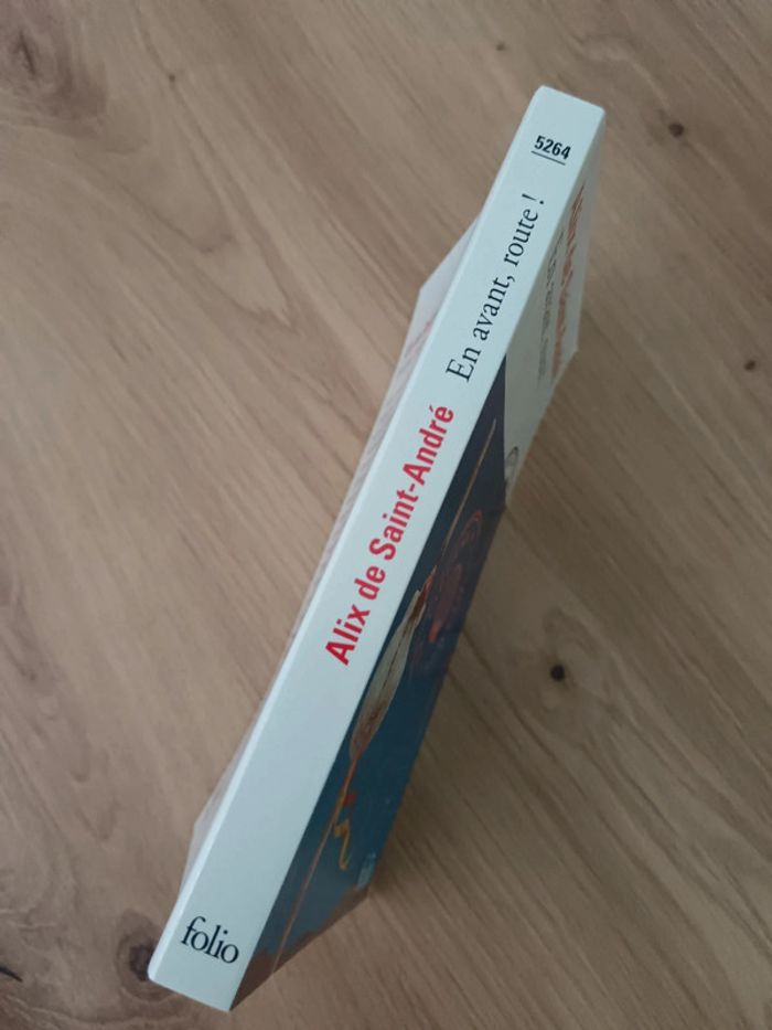 Alix de Saint-André 🍀 En avant, route ! - photo numéro 3