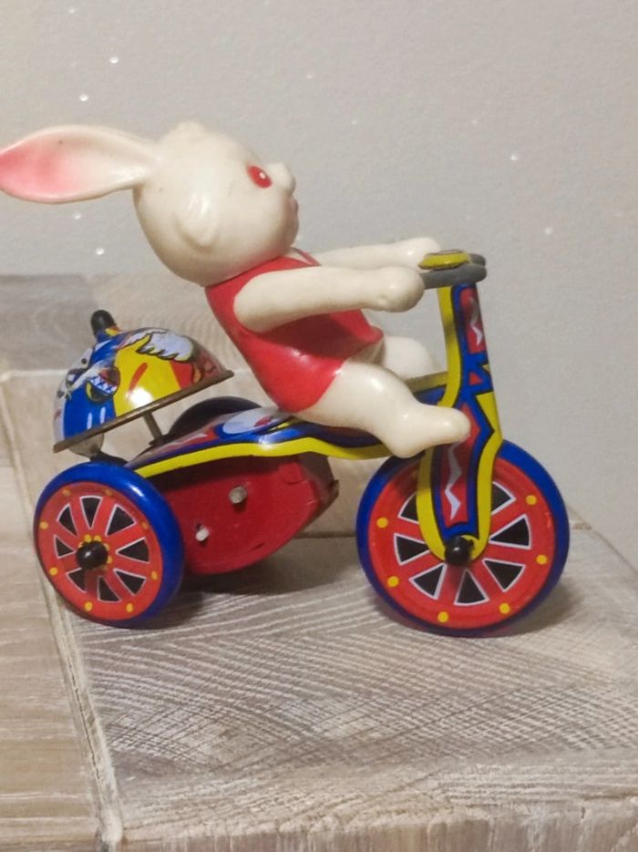 lapin litho mécanisme ok sur son vélo - photo numéro 4