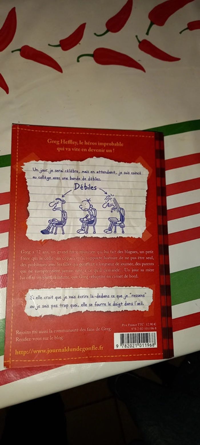 Le journal d'un dégonflé 1 - photo numéro 2