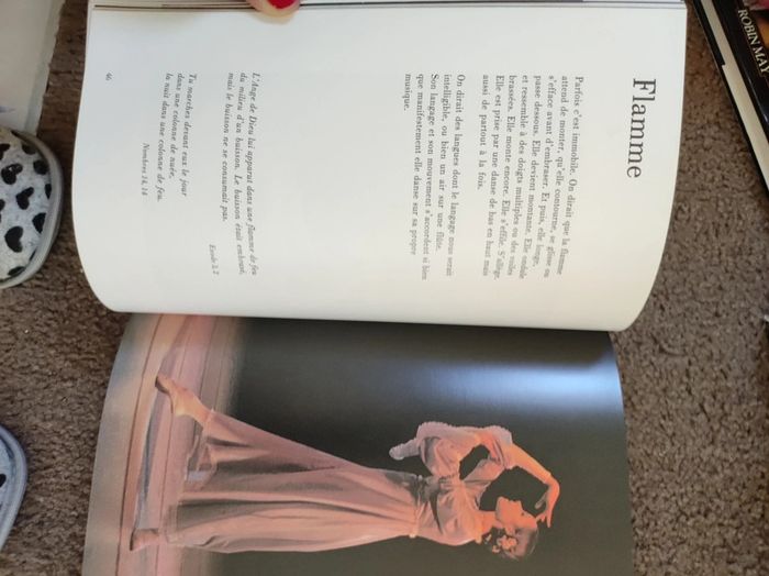 Livre Alliance Mireille Nègre - photo numéro 3