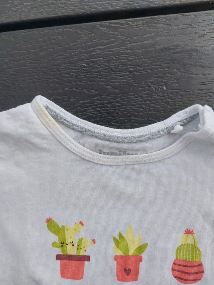 Lot 5 Tee-shirts 12mois - photo numéro 9