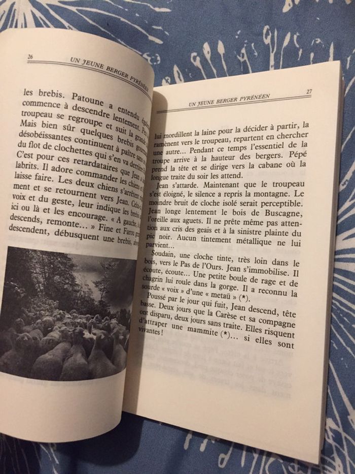 Jean de l’ours - photo numéro 6