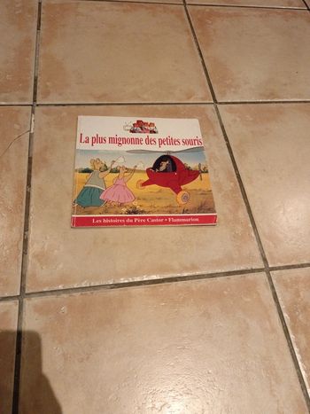 La plus mignonne des petites souris