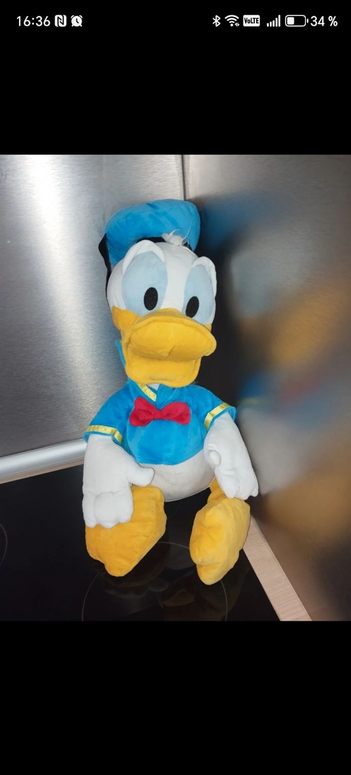 Donald - photo numéro 3