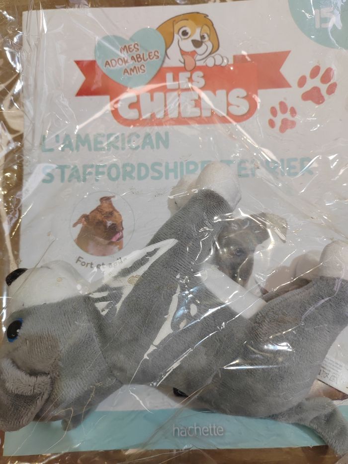 Mes adorables amis les chiens 15