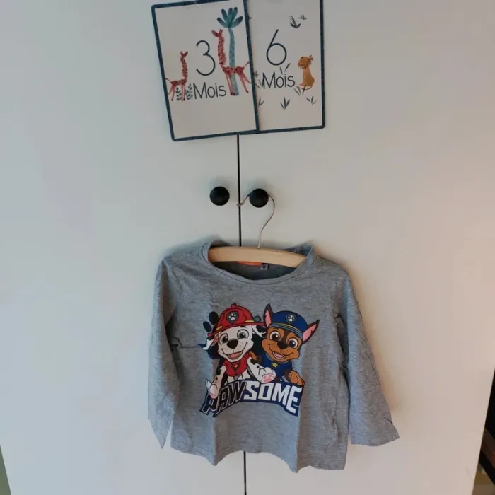 T-shirt Pat Patrouille 2-3 ans
