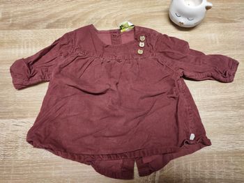 Chemise t-shirt 🐱