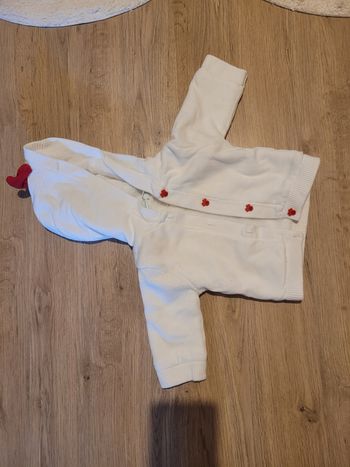 Gilets minnie