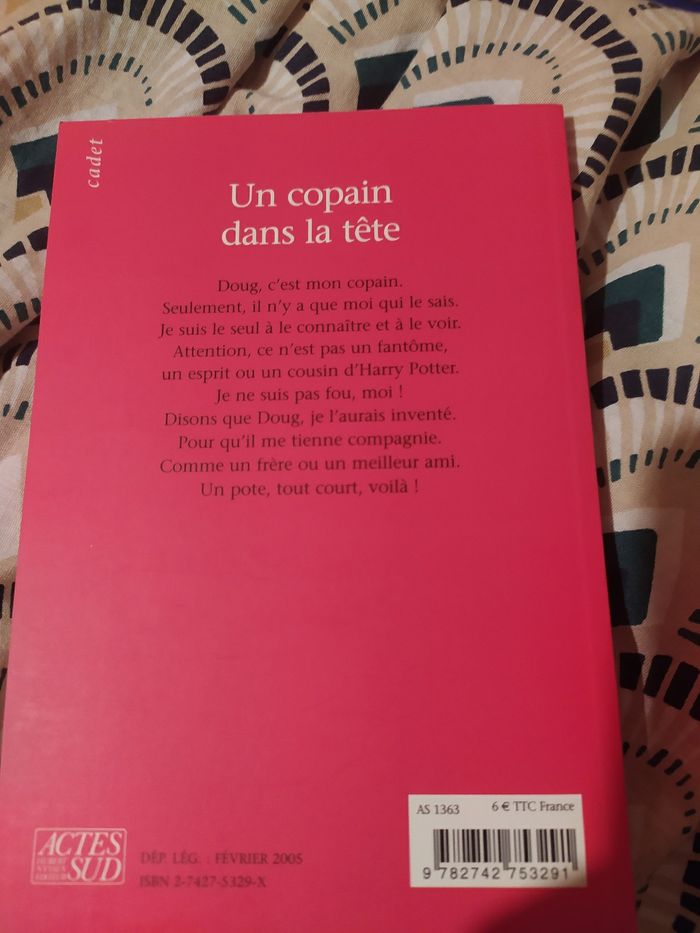 Un copain dans la tête - photo numéro 2