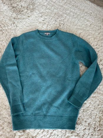 Pull Acanthe 12 ans