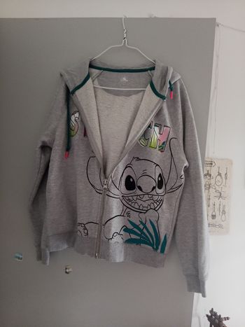 Sweat stitch a capuche Disneyland Paris 