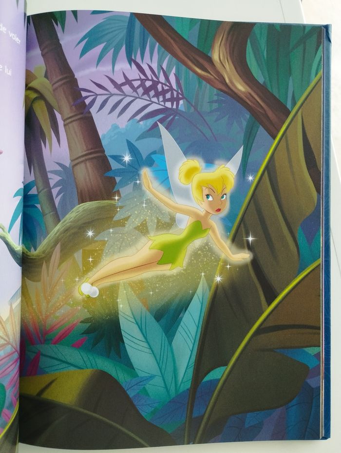 Livre Disney - photo numéro 5