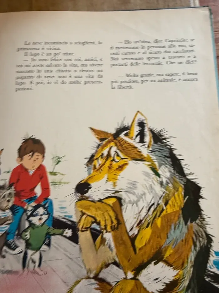 Livre Pierre Probst Caroline Fanfan ancien italien Gianni e l’ultimo lupo vintage - photo numéro 13