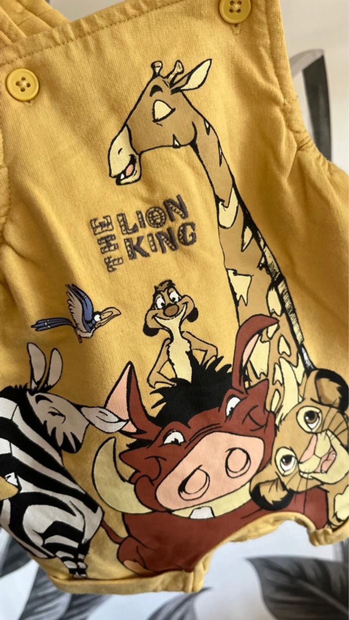 Combishort - photo numéro 2