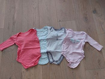 Lot 4 Bodies