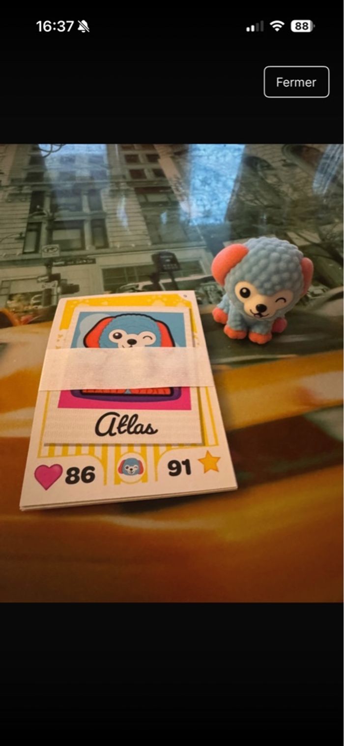 Atlas i love puppies