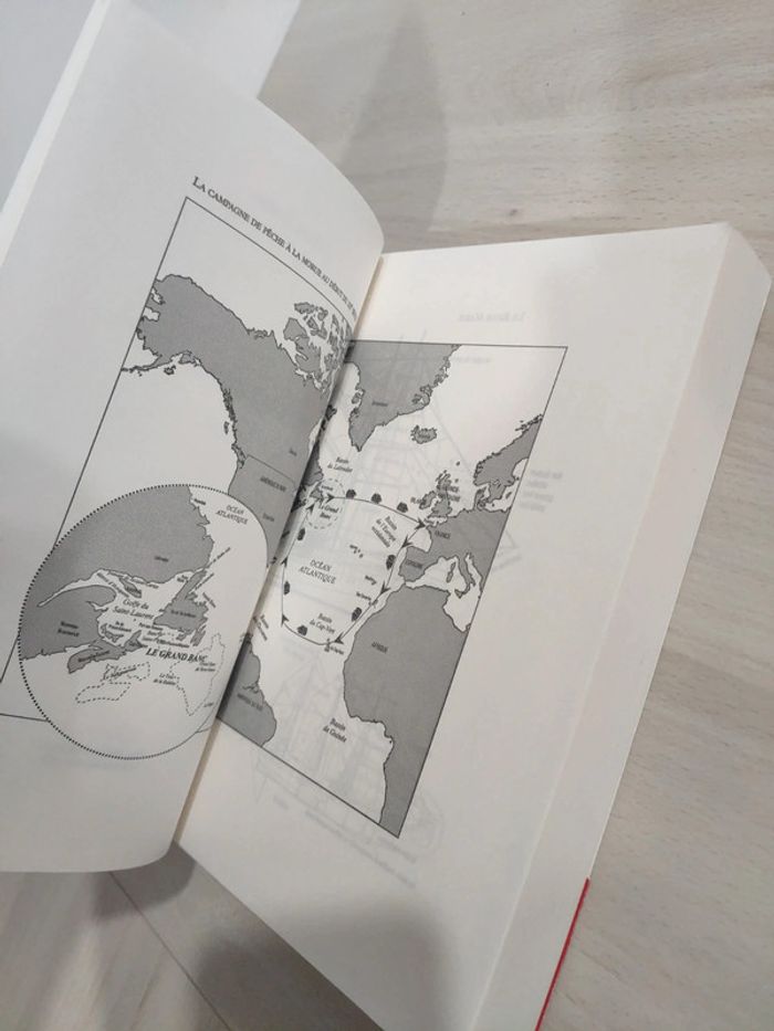 Livre grand format Un violon sur la mer Gilbert Bordes - photo numéro 7