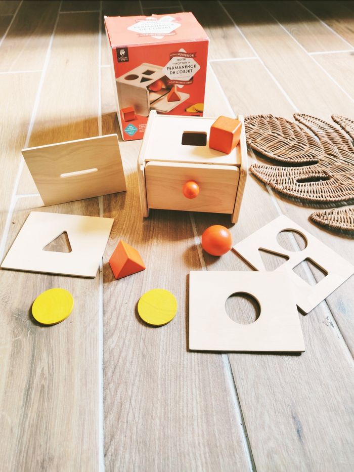 🔴Boîte de notion de permanence 4 en 1 avec formes à encastrer en bois, Nature et découvertes
