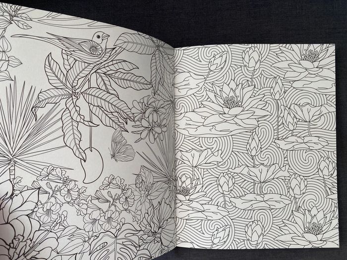 Cahier de coloriages Neuf (fleurs) - photo numéro 3