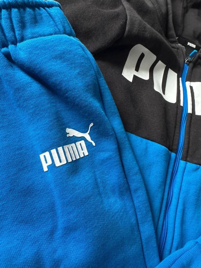 Ensemble puma - photo numéro 3