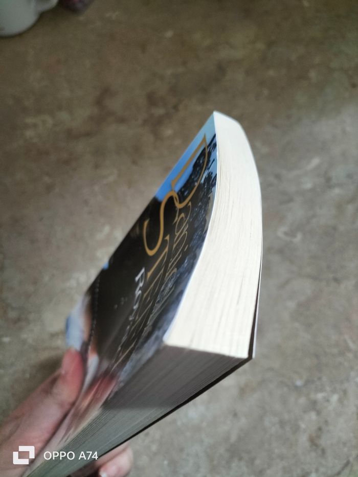 Livre 🧡 Royale de Daniel Steel - photo numéro 4