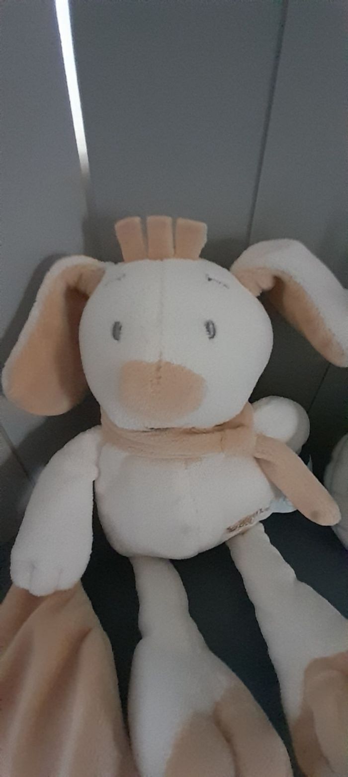 chien mouchoir Douceur baby nat - photo numéro 2