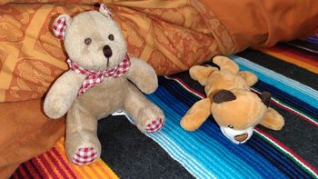 🌺 Lot de 2 peluches ourson 🐻 et tigre 🐅